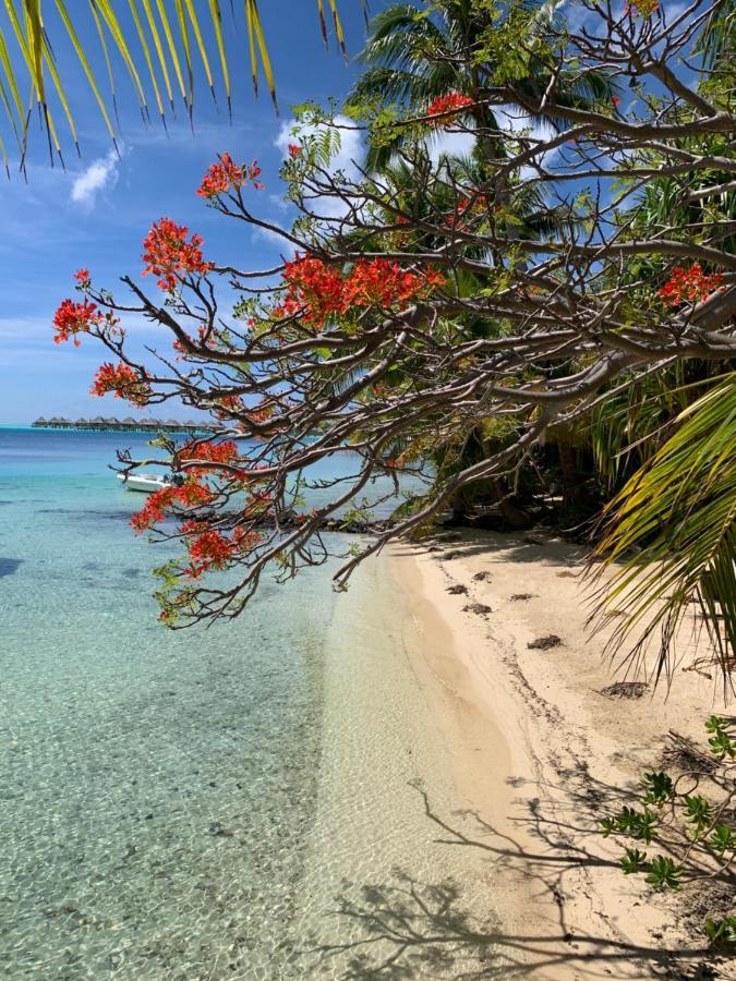 Maitai Bora Bora Hotel Екстериор снимка